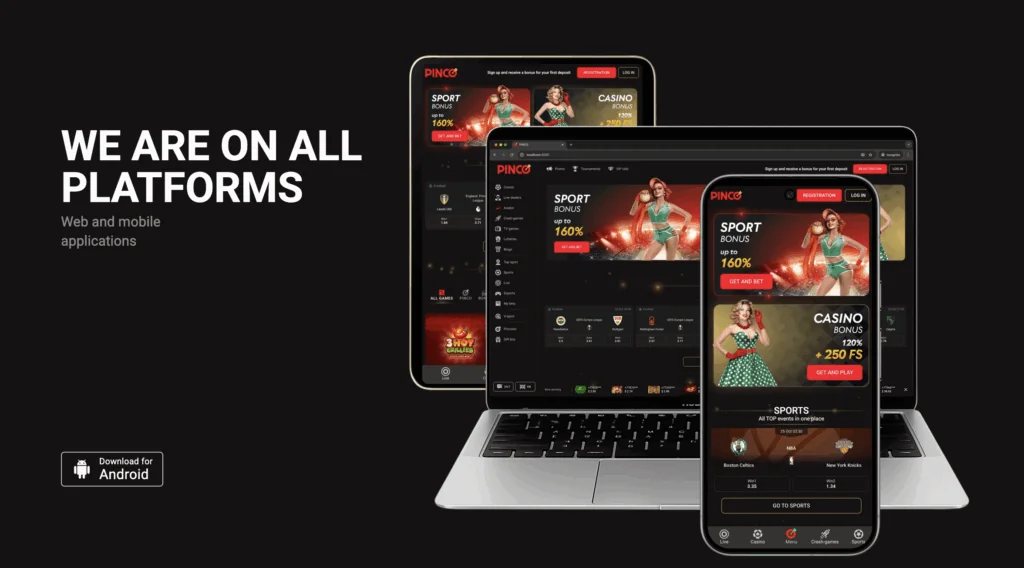 Success install Plinko